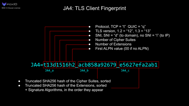 JA4 TLS Client Fingerprint Format